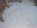 wine-spill-regan-4.jpg